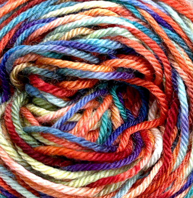 May 2024 Colorway: ‘Texas Ocotillo’