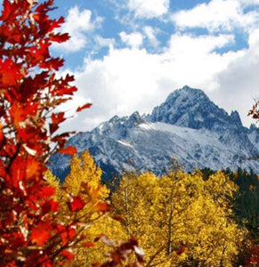 October 2023 Exclusive Colorway - "Fall in Mount Sneffels"