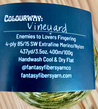 Load image into Gallery viewer, September 2023 Exclusive Kit - &quot;LaVigna Socks&quot; Pattern + 1 Skein of &quot;Vineyard”