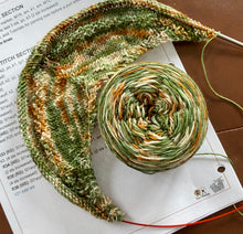 Load image into Gallery viewer, March 2023 Exclusive Kit - Explorer Shawl Pattern + 2 Skeins of &quot;Redwood Winter” kit
