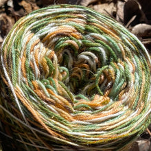 Load image into Gallery viewer, March 2023 Exclusive Colorway - &quot;Redwood Winter&quot;